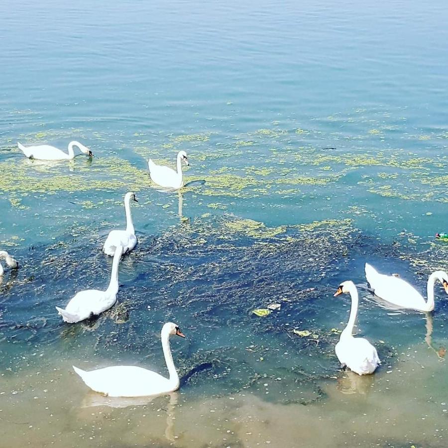 Vila San Na Vodi Smederevo Exteriér fotografie