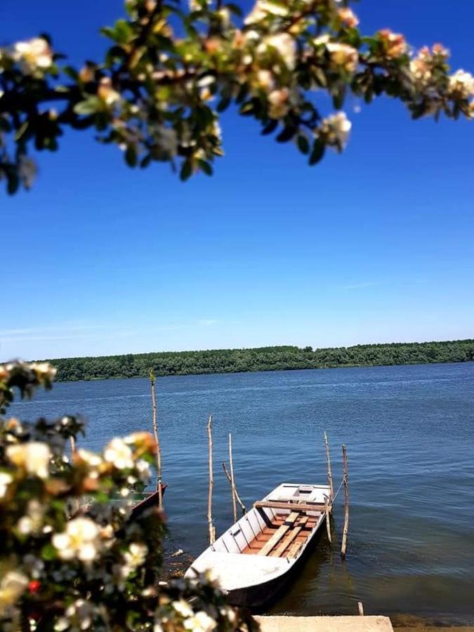 Vila San Na Vodi Smederevo Exteriér fotografie